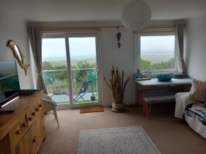 Lundy View